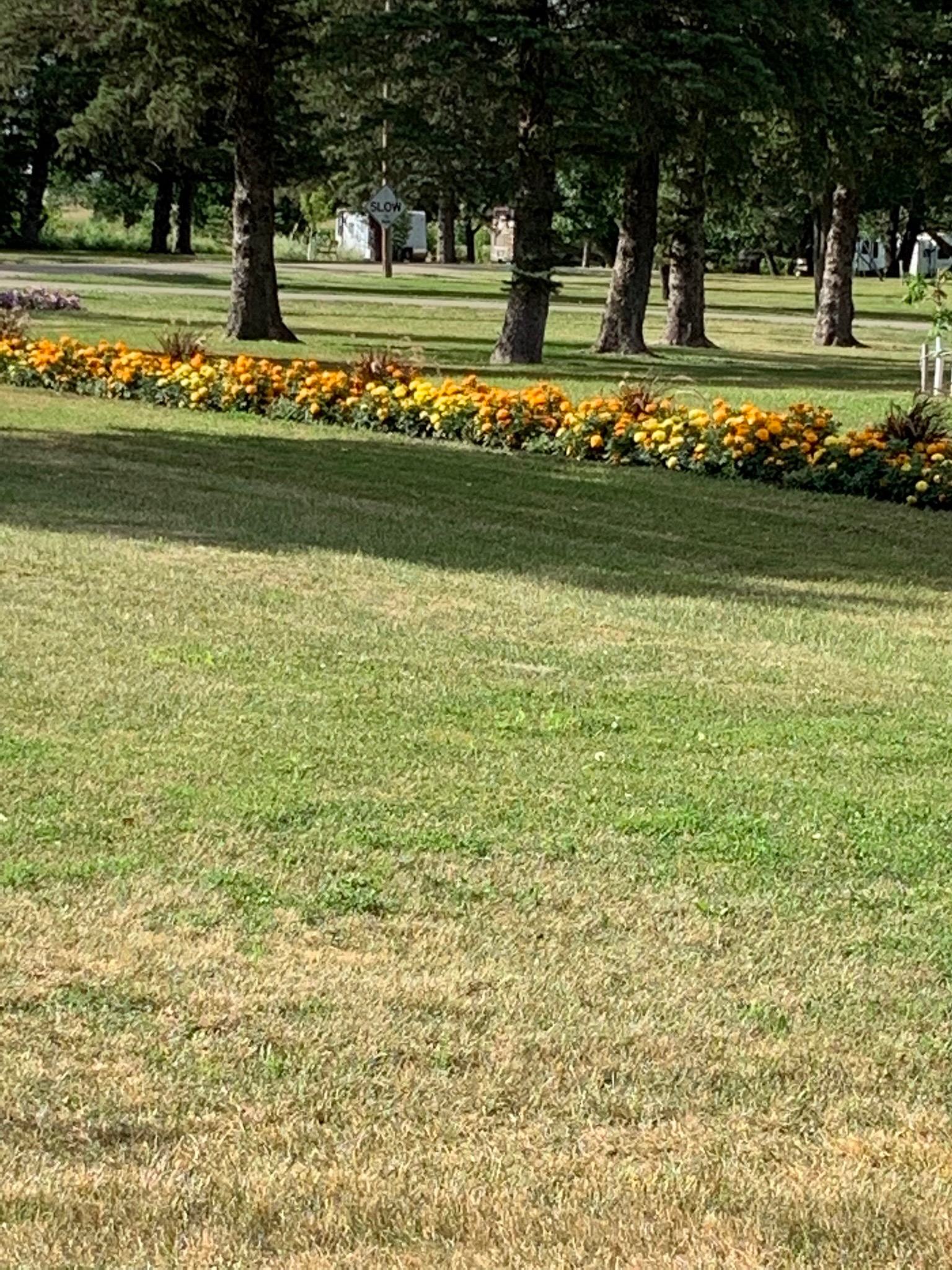 LaMoure County Park Campground RV Campground in LaMoure, ND
